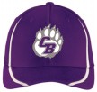 CB Bears Cap